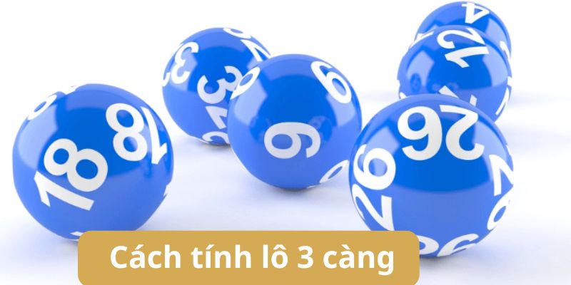 Top 5 Cách Tính Lô 3 Càng Chuẩn Xác Và Dễ Ăn Điểm Mỗi Ngày