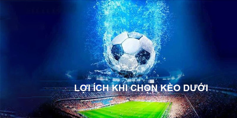 Chọn kèo dưới mang lại nhiều lợi ích đầy hấp dẫn