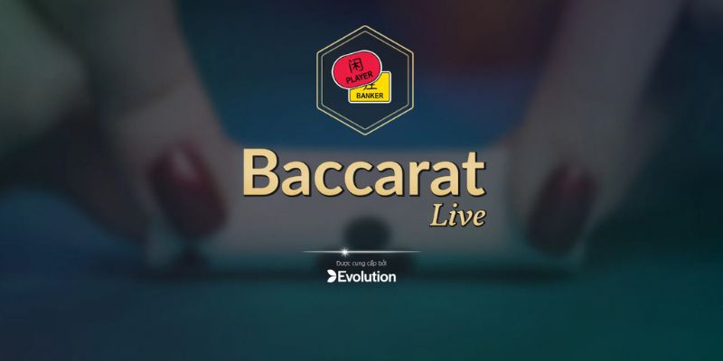 Vài nét cơ bản về sảnh Baccarat